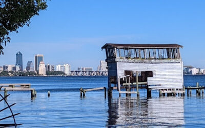 Avondale, FL pool services