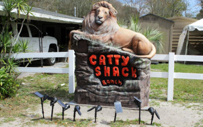 Northside, FL pool services